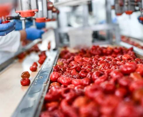 Stainless Steel Thin Wall Tubes for Food, Dairy and Pharmaceutical Processing