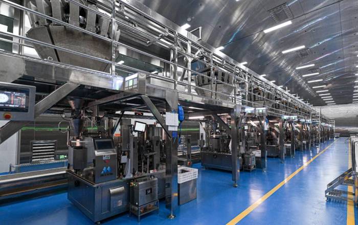 Duplex Steel S32205 Pipe for Food Processing